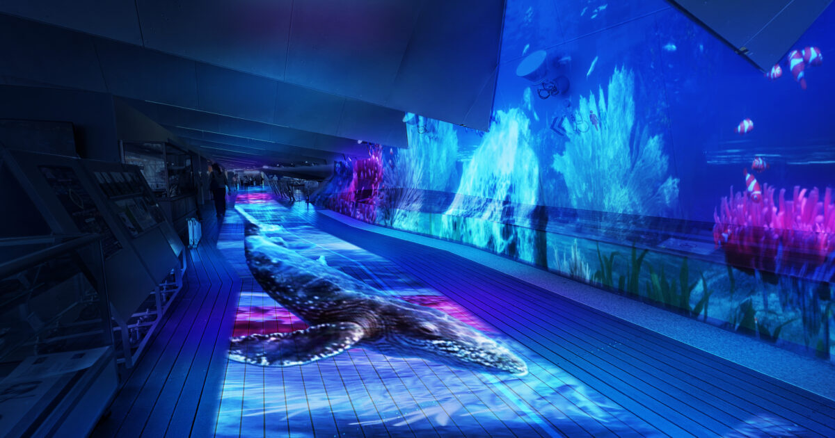 Osanbashi Yokohama Night Aquarium Osanbashi Yokohama Night Aquarium