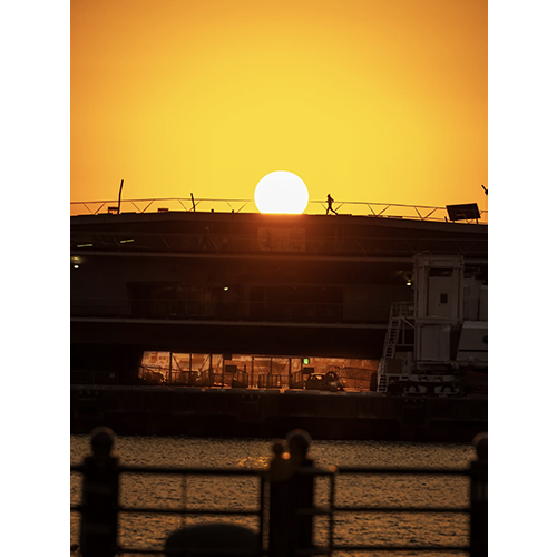 ジャンル賞　写真