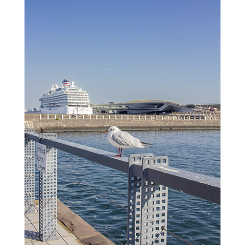 ミナト町ヨコハマ賞　写真