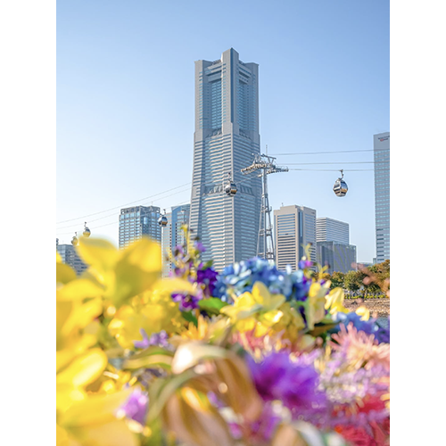 ミナト町ヨコハマ賞　写真