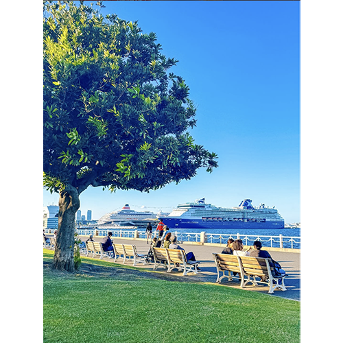 ミナト町ヨコハマ賞　写真