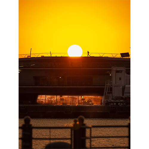 ジャンル賞　写真