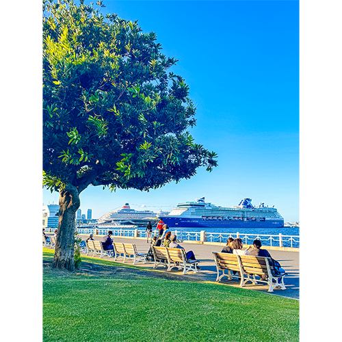 ミナト町ヨコハマ賞　写真